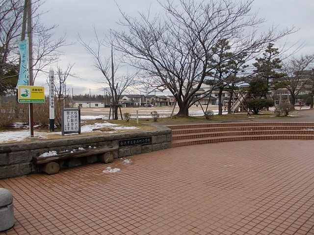 小学校　金石町小学校（小学校）まで1100m