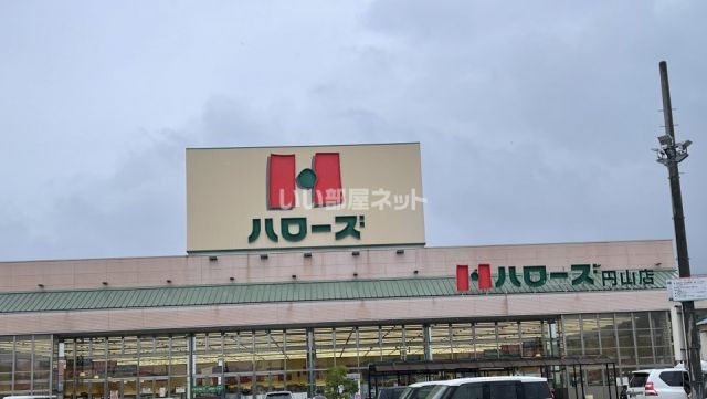 スーパー　ハローズ　円山店（スーパー）まで1249m