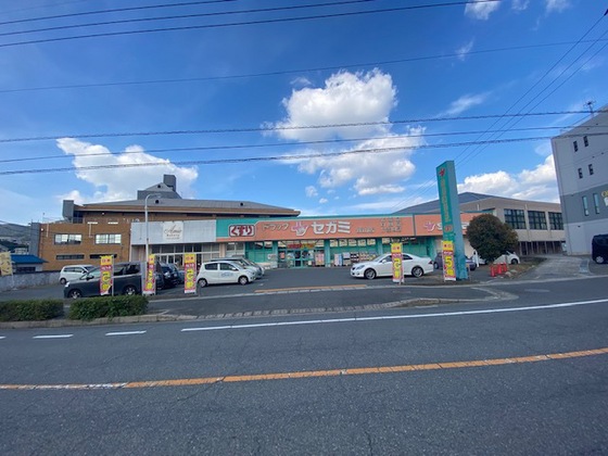 ドラックストア　ドラッグセガミ焼山店（ドラッグストア）まで699m