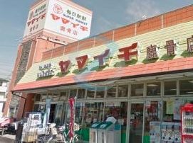 スーパー　ヤマイチ鹿骨店（スーパー）まで260m