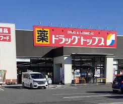 ドラックストア　サンドラッグ 寺尾東店【新潟市西南部エリア】（ドラッグストア）まで875m