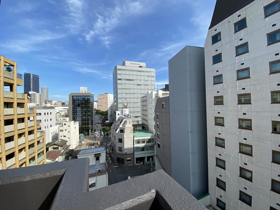 眺望　※別部屋の写真です