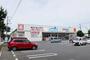 ドラックストア　ウエルシア野田関宿店（ドラッグストア）まで1167m