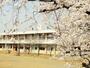 小学校　常総市立豊岡小学校（小学校）まで2075m