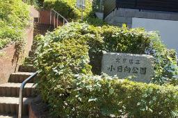 公園　小日向公園（公園）まで653m