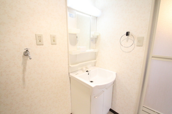 洗面設備　※別号室の写真です