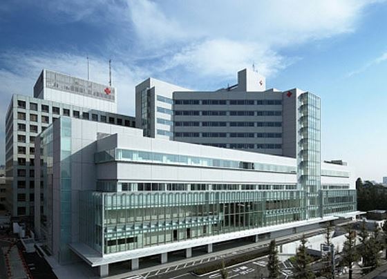 病院　日本赤十字社医療センター（病院）まで764m