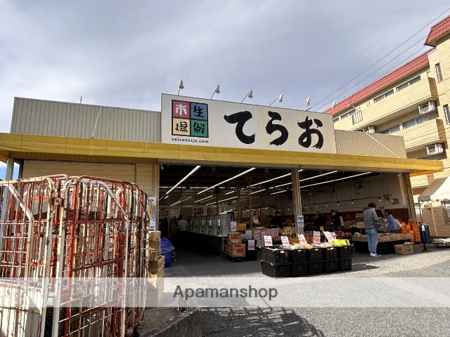 スーパー　生鮮市場てらお（スーパー）まで553m