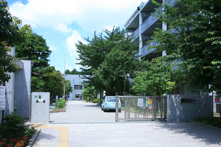 小学校　世田谷区立船橋小学校（小学校）まで968m