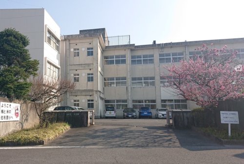 小学校　知多市立佐布里小学校（小学校）まで774m
