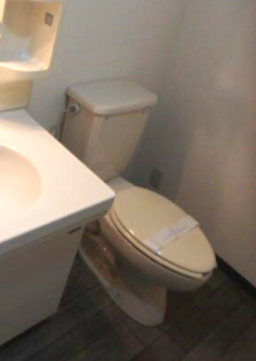 トイレ　トイレです
