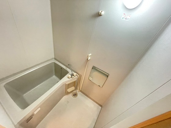 バス・シャワールーム　※別部屋の写真です
