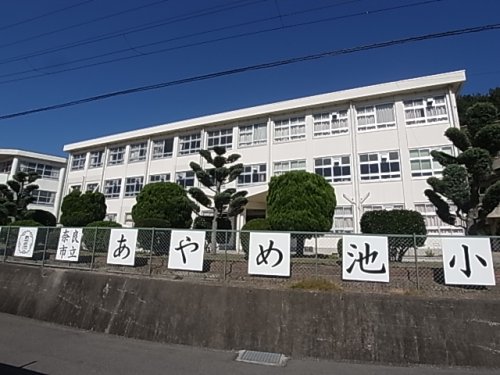 小学校　あやめ池小学校（小学校）まで789m