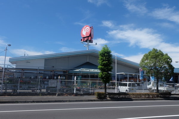 ホームセンター　コメリハード＆グリーン中主店（ホームセンター）まで515m