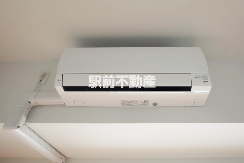 レイ和白のその他写真