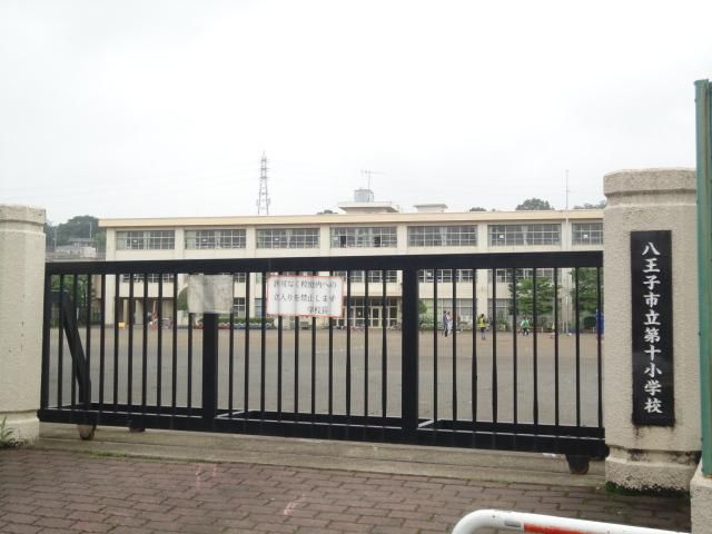 小学校　八王子市立第十小学校（小学校）まで350m