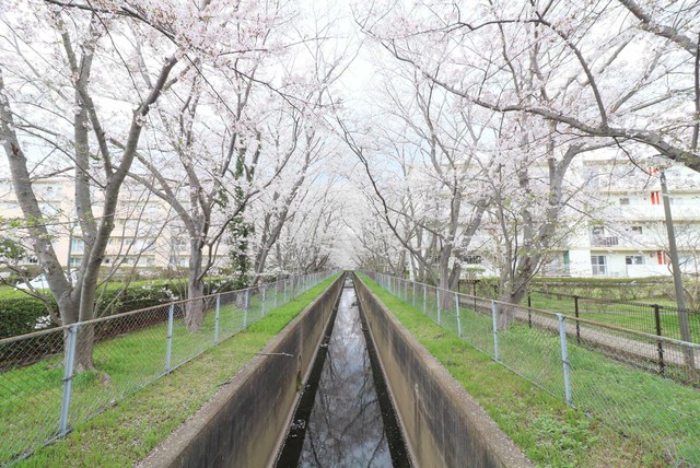 UR取手井野の外観写真