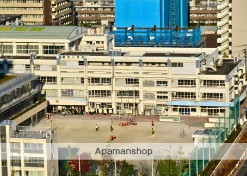 小学校　豊洲小学校（小学校）まで746m