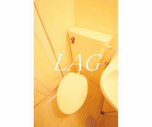 ラヴニール南常盤台のトイレ写真