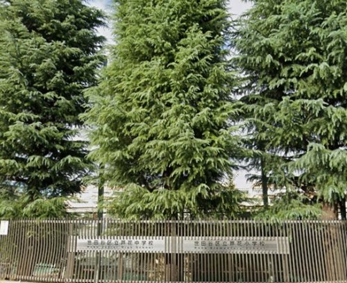 中学校　世田谷区立芦花中学校（中学校）まで790m