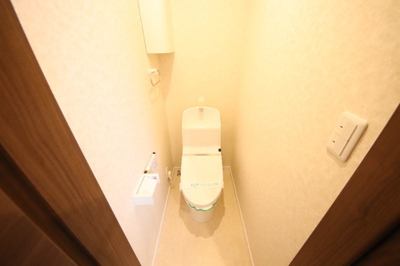 阪急神戸線 武庫之荘駅 徒歩7分 3階建 築11年のトイレ写真