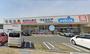 ドラックストア　ウエルシア平野瓜破西店（ドラッグストア）まで703m