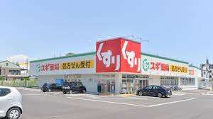 ドラックストア　スギ薬局中川南店（ドラッグストア）まで206m