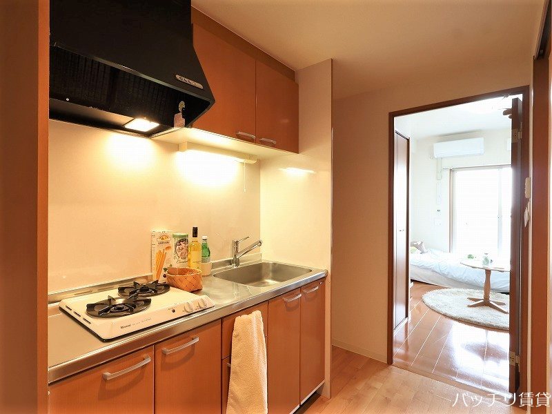 キッチン　同室タイプ掲載の為現況を優先します。