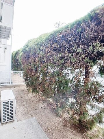 庭　簡単な家庭菜園も楽しめるお庭です