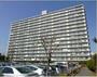 エクセル津田沼 8階 築40年3ヶ月の賃貸物件