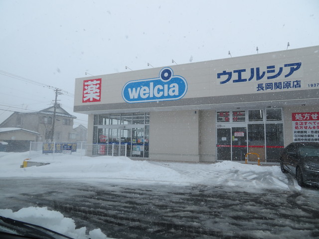 ドラックストア　ウエルシア長岡関原店（ドラッグストア）まで556m
