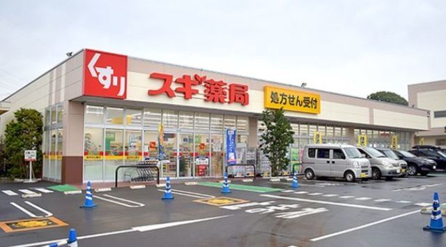 ドラックストア　スギ薬局寒川店（ドラッグストア）まで799m