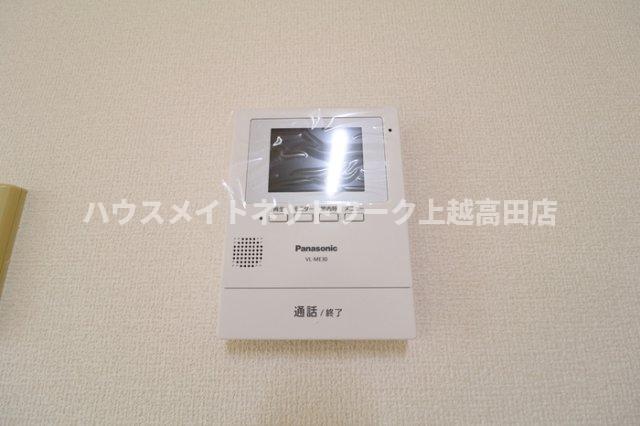プルメリアのその他写真