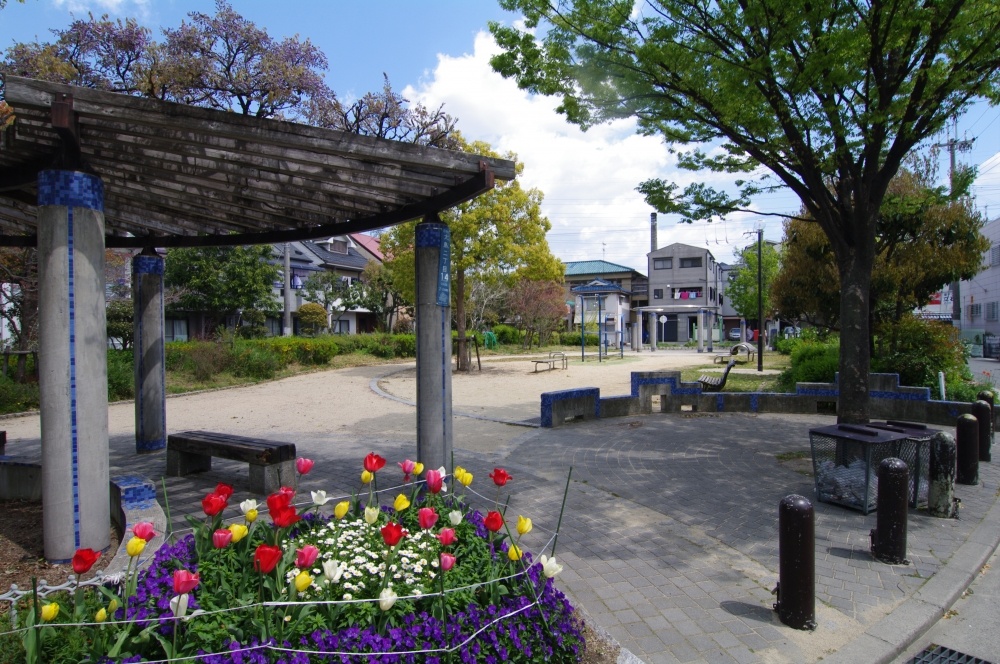公園　成文公園（公園）まで242m
