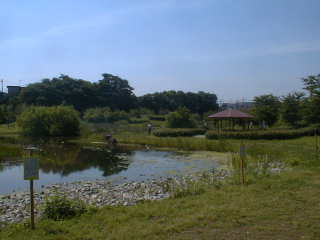 【ガーデンリリー習志野の公園】