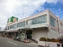 【（仮称）堺市中区深井中町新築アパートのスーパー】