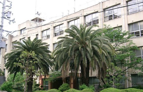 小学校　日吉小学校（小学校）まで902m