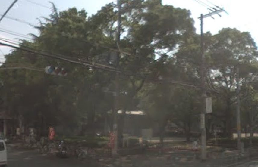 公園　南堀江公園（公園）まで523m