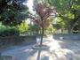 公園　押切公園（公園）まで340m
