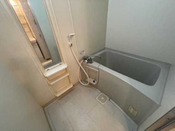 バス・シャワールーム　※別部屋の写真です