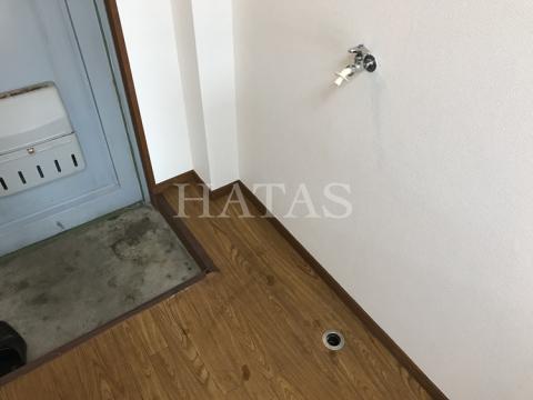 玄関　同物件別部屋です