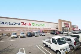 スーパー　フィール　でっかいどう！（スーパー）まで666m