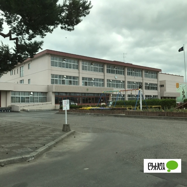 小学校　旭川市立神楽小学校（小学校）まで559m