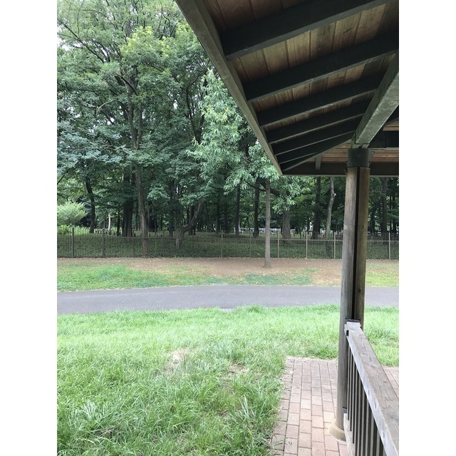 公園　芦花公園（公園）まで765m