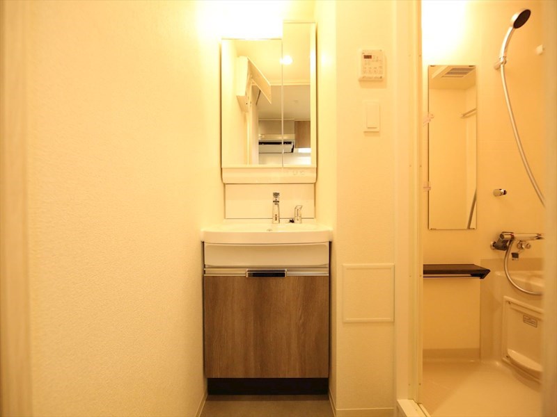 洗面設備　脱衣所　独立洗面台（シャンプードレッサー付）収納スペース有