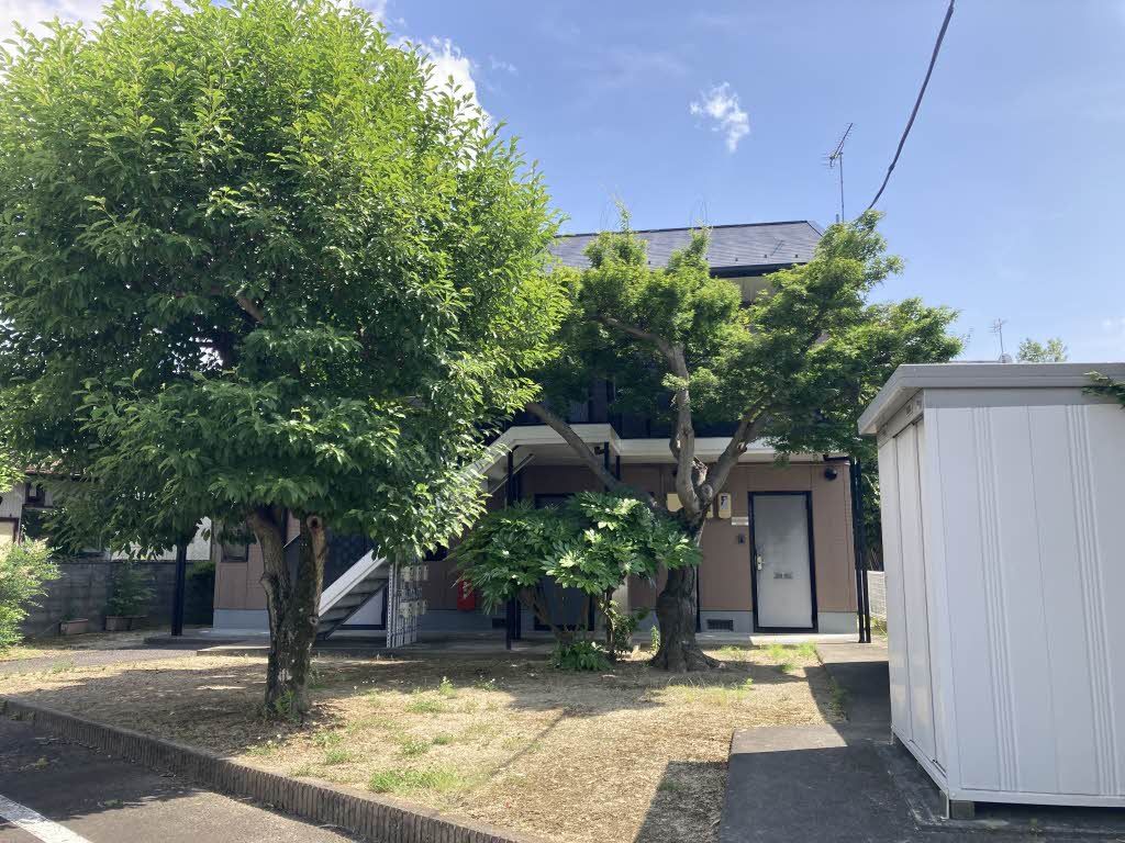その他　都会なら公園として使えそうなくらい立派な植樹スペース。道路…