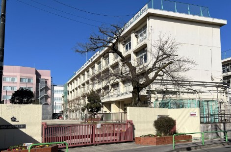 中学校　練馬区立石神井東中学校（中学校）まで369m