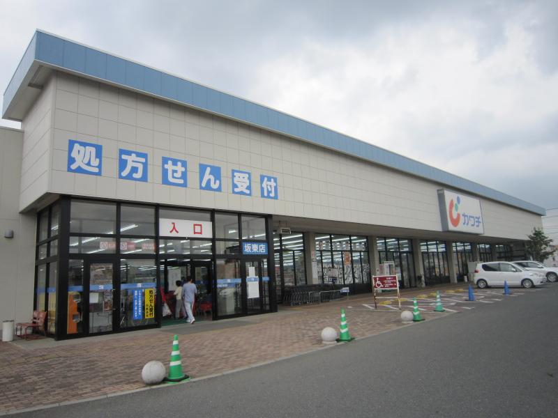 ドラックストア　カワチ薬品 坂東店（ドラッグストア）まで481m