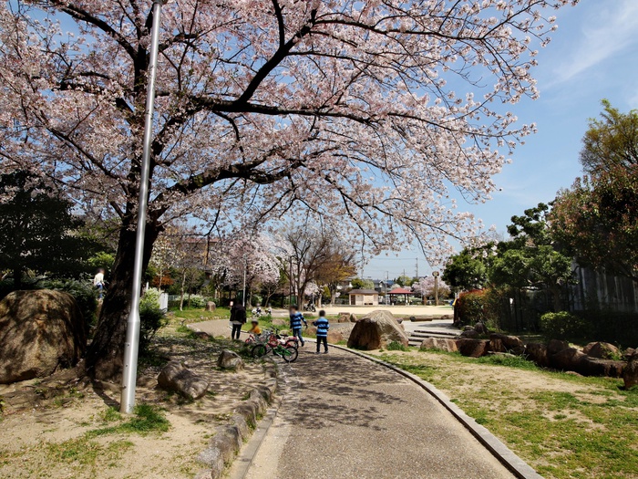 公園　久保公園（公園）まで548m