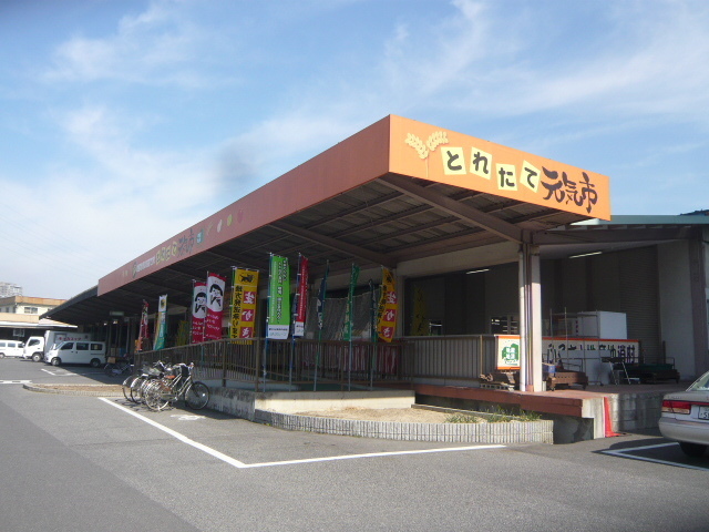 スーパー　とれたて元気市（スーパー）まで713m